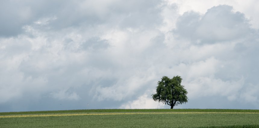 Fototour auf dem Höhenweg aargauSüd