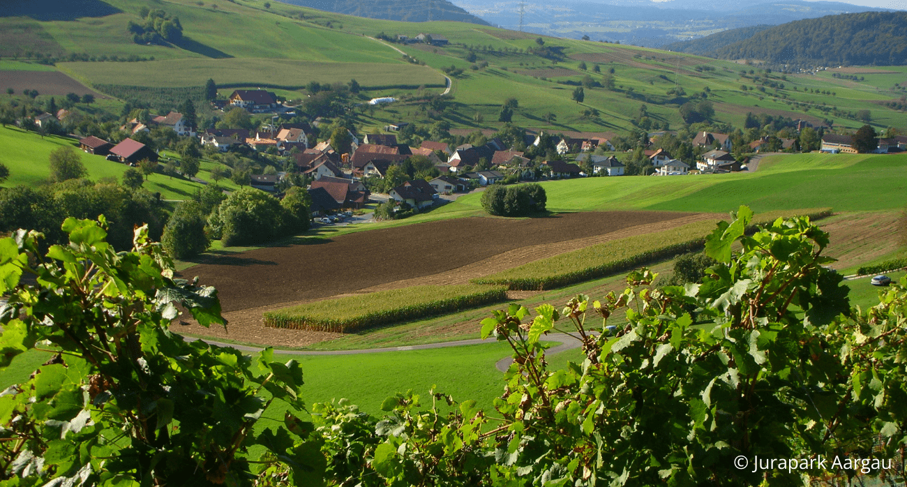 «Gaumenschmaus am Flösserweg»
