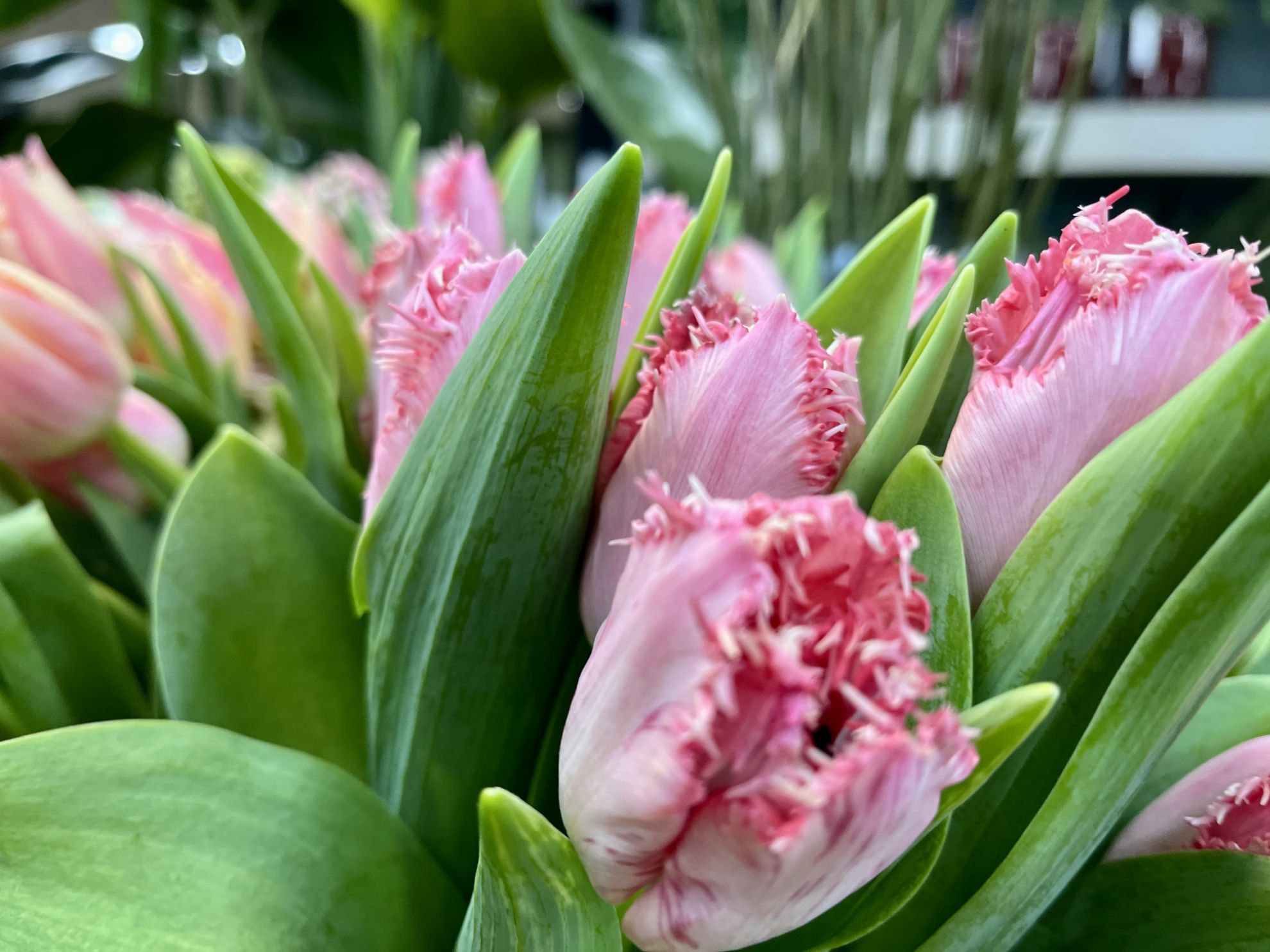 Sagen Sie's mit Blumen.