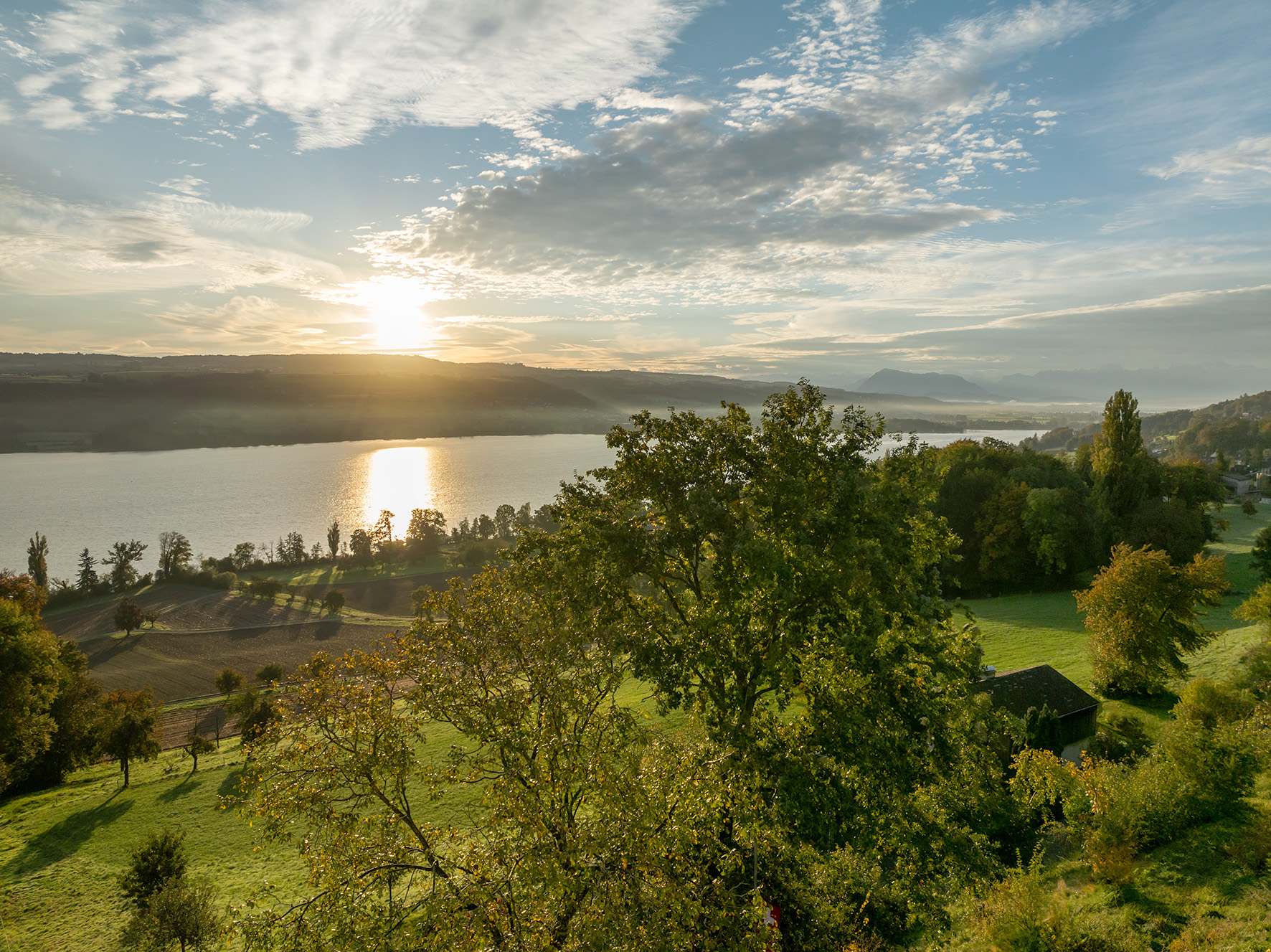 Auszeit am Hallwilersee