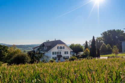 Sonnige Aussichten