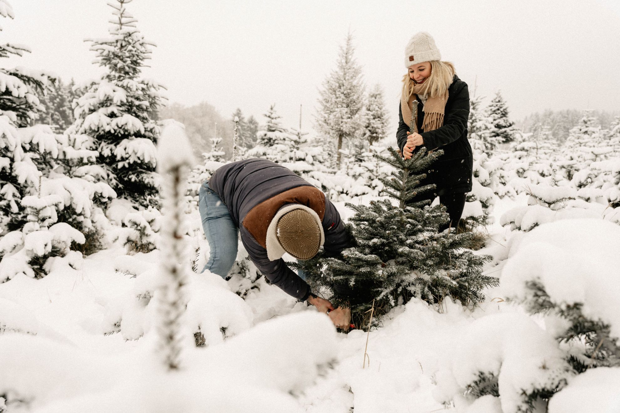 Christbaumkauf mit Erlebnisfaktor